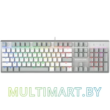 Клавиатура A4Tech Fstyler FS100 Neon (серебристый/серый)